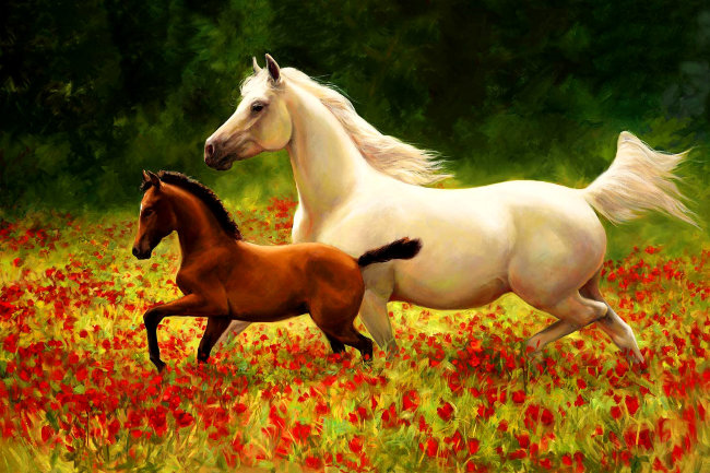 Алмазная мозаика 30x40 "Лошади" AR9525