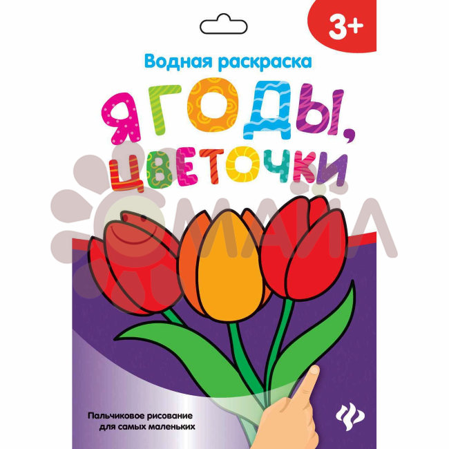 Водная раскраска. Ягоды, цветочки