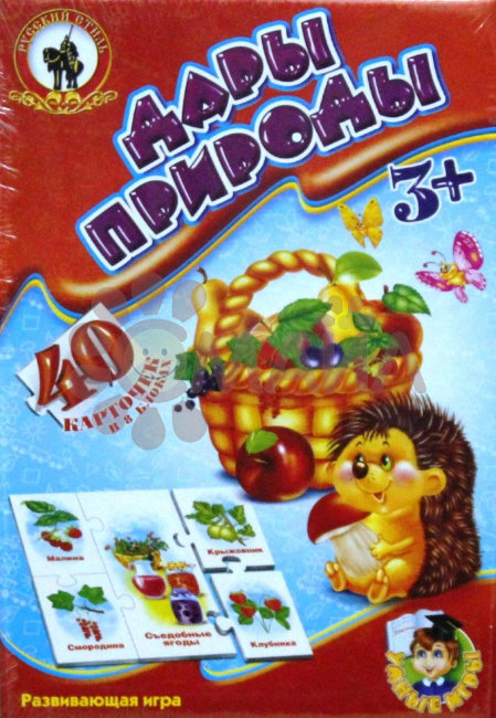 Умные игры "Дары природы"