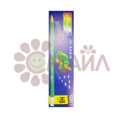 Карандаш чернографитный пластиковый Эластичный 655 HB№2