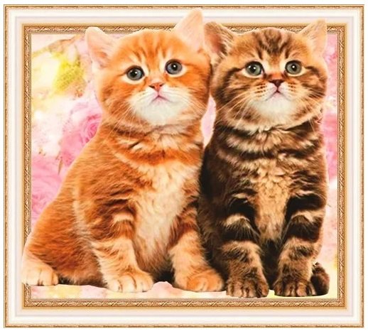 Алмазная мозаика 40x50 "Котята" 7DAR315 Алмазная мозаика 40x50 "Котята" 7DAR315